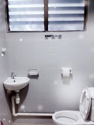 Blk 546 Bedok North Green (Bedok), HDB 3 Rooms #576239611
